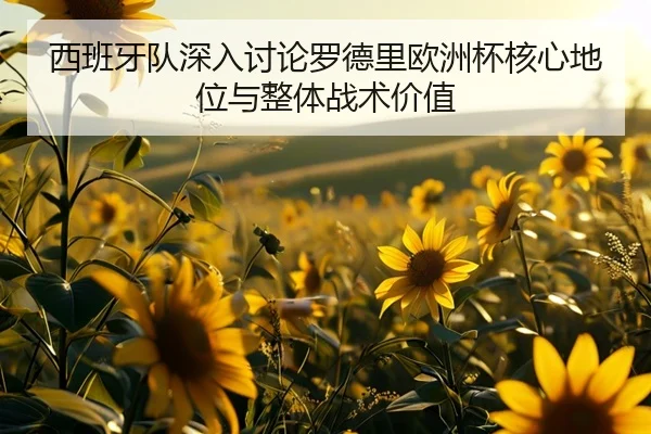 西班牙队深入讨论罗德里欧洲杯核心地位与整体战术价值